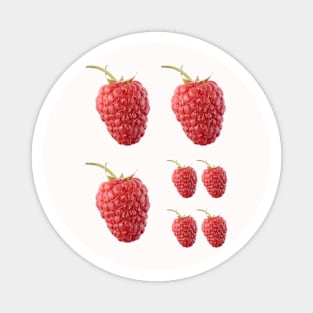 Raspberry Magnet